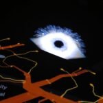 understanding ai hallucinations prevention