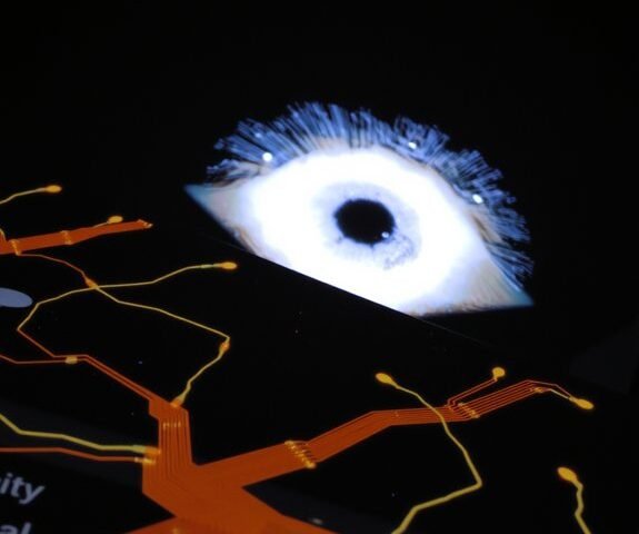 understanding ai hallucinations prevention